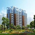 亞星房地產開發(fā)公司-亞星房地產開發(fā)公司鄭州分公司