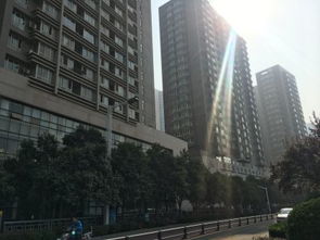 鄭州未來國際項(xiàng)目綜合分析 優(yōu)勢、不足及周邊房產(chǎn)中介評價